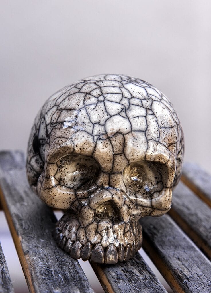 Dödskalle är en skulptur i keramik som föreställer benet i skallen på en död människa. Skulpturen är ljus med mörka linjer i ojämnt rutnät, så den ser krackelerad ut.