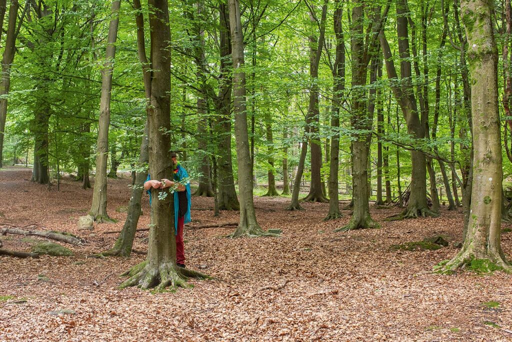 Tre foton i ett kollage av en man som står i en lummig grön skog och kramar en trädstam. Han är omgiven av gröna lövträd med marken är täckt av bruna löv. Foto i perspektivet ut-zoomad med landskap.